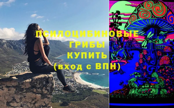 таблы Алексеевка
