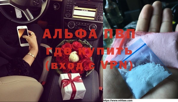 прущие грибы Алзамай