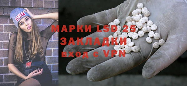 прущие грибы Алзамай